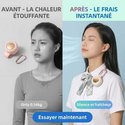 Brumisateur extérieur portatif