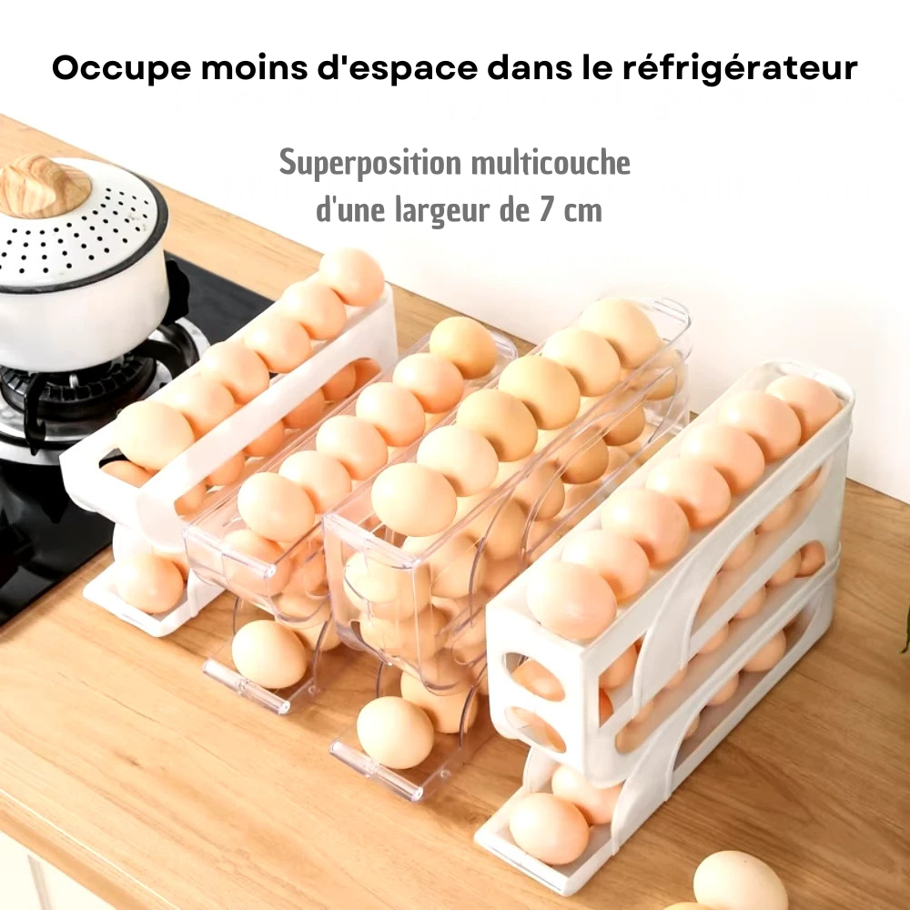 Support de rangement d'oeufs