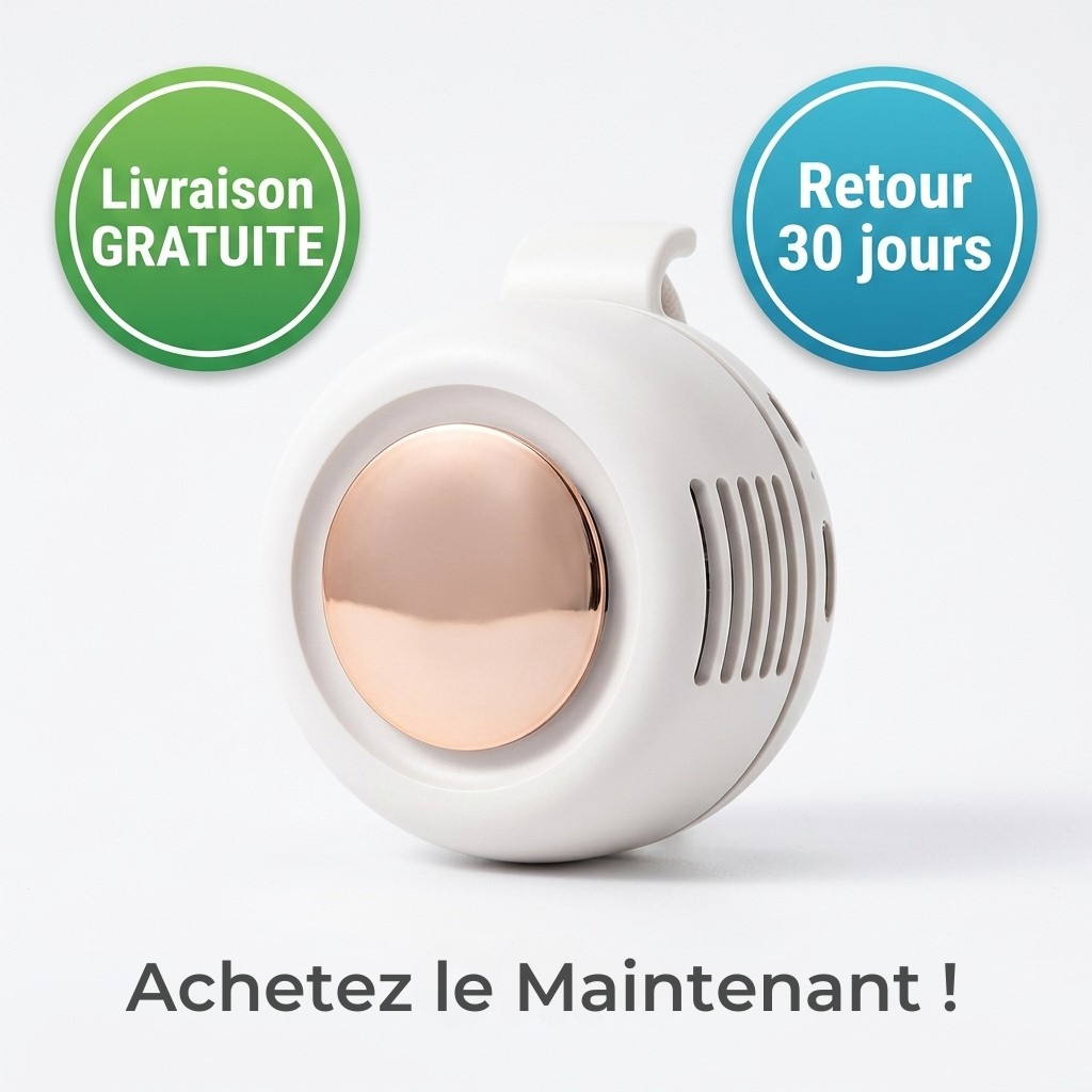 Brumisateur extérieur portatif